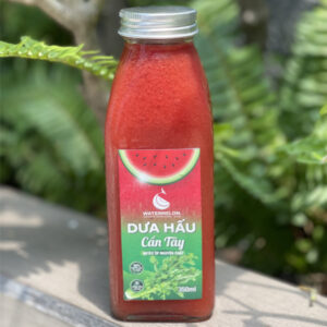 Fresh celery watermelon juice